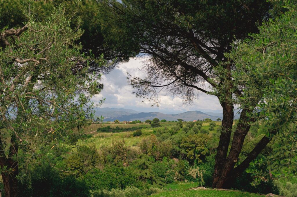 Fotografo Matrimonio Villa dei Consoli Roma